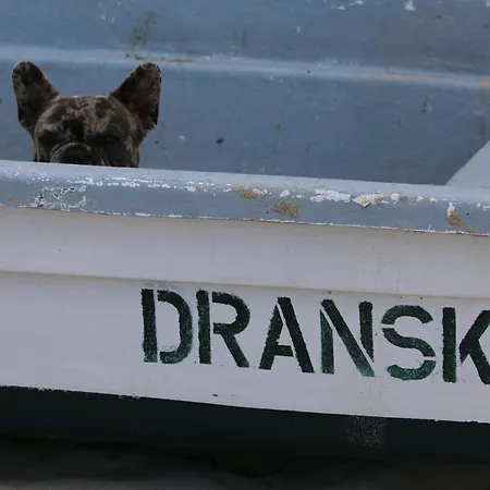 בית נופש Oder Weniger Direkt Am דראנסקה