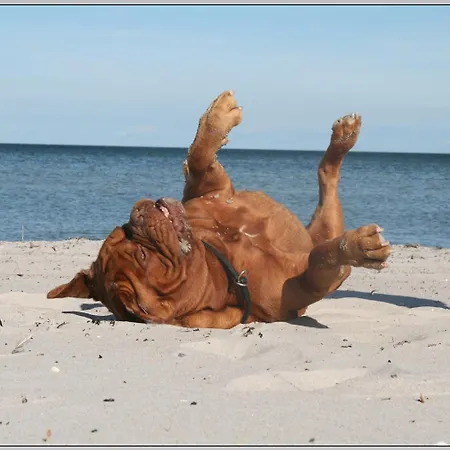 בית נופש Oder Weniger Direkt Am *