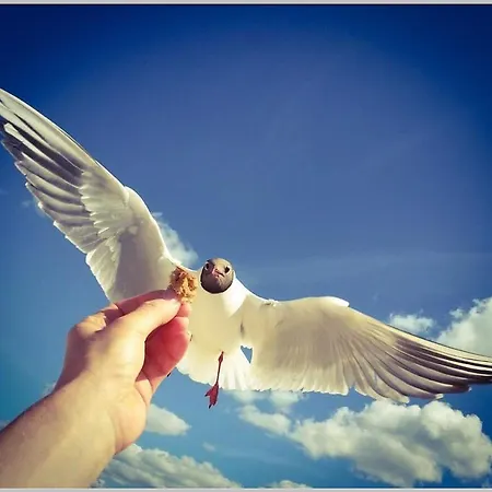 בית נופש Oder Weniger Direkt Am