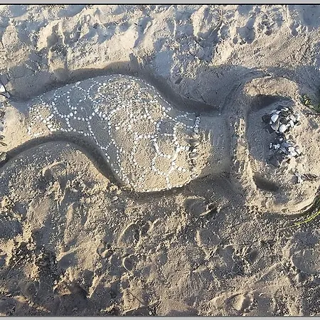 Oder Weniger Direkt Am * Dranske