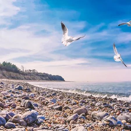 בית נופש Oder Weniger Direkt Am דראנסקה