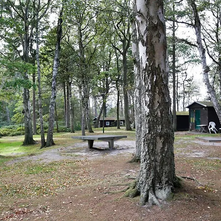 Oder Weniger Direkt Am Casa vacanze Dranske